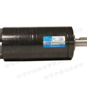 乐动网页版后油口系列马达