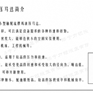 乐动网页版后油口系列马达