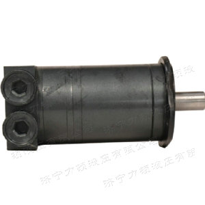 乐动网页版侧油口系列马达