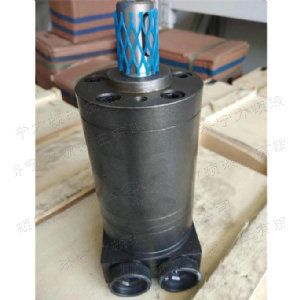 乐动网页版侧油口系列马达