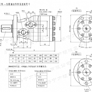 BMH系列交错油口乐动（中国）马达
